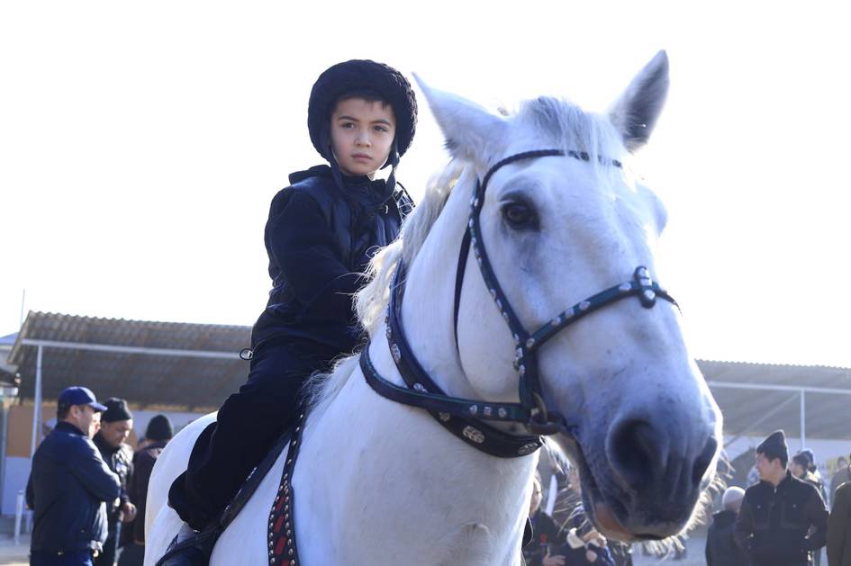 70 минг долларга сотилмаган от, 5 минг доллар баҳоланган қўй: Намангандаги  зотдор ҳайвонлар кўргазмасидан репортаж